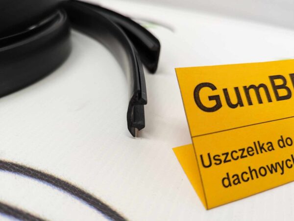 PXL_20240116_123326733_scaled.jpg Uszczelka do bagażników dachowych BMW Mini